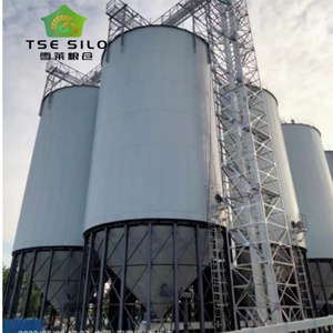 Oferta Especial: Silos de Acero Galvanizado TSE TCZK 870T con Fondo Cónico para Almacenamiento de Salvado de Arroz en Granjas Avícolas, Certificación ISO CE, Larga Duración - Product Image 2