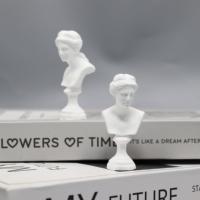 Diffuseur d'huiles essentielles en pierre d'aromathérapie écologique en gypse Mini Vénus de style nordique