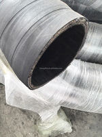 Tuyau hydraulique en caoutchouc synthétique 5000psi tuyau de nettoyeur haute pression deux couches fil d'acier EN853 Toway Hose