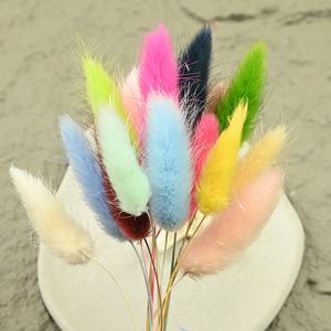 Bouquet <span class=keywords><strong>de</strong></span> fleurs éternelles en herbe <span class=keywords><strong>de</strong></span> queue <span class=keywords><strong>de</strong></span> lapin, décoration <span class=keywords><strong>de</strong></span> salon, nouvelle maison, plusieurs couleurs au choix, décoration pour l'insertion <span class=keywords><strong>de</strong></span> fleurs - Product Image 3