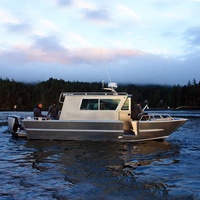 Bateau de pêche et de travail en aluminium soudé, capacité de 5000 kg/5 tonnes, 10 m (33 pieds), avec cabine de pilotage