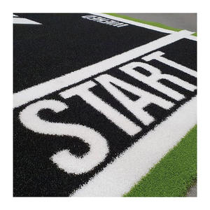 Mật độ cao đầy màu sắc tổng hợp cỏ nhân tạo Turf PE sàn nhựa cho phòng tập thể dục thể thao Golf & vườn thể dục sleds bao gồm - Product Image 6