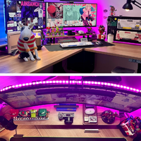 Éclairage d'Ambiance RVB pour Écran d'Ordinateur pour Salle de Jeu, Rétroéclairage Décoratif de Bureau Synchronisé avec l'Écran