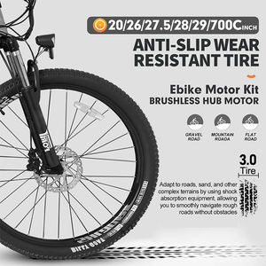 Venta al por mayor rueda trasera SW900 LCD 47PDD 20X V12 20-29 pulgadas MTX bicicleta eléctrica E Bike Hub Motor 52V 2KW EBike Kit de conversión - Product Image 3