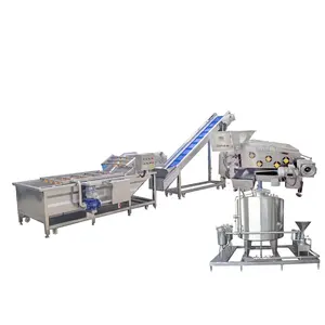 Garlic and Ginger Fruit Juice Squeezing Machine Juice Production Line