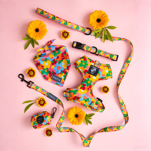 Arnés para mascotas con degradado de alta calidad, diseño único personalizado, <span class=keywords><strong>abrigo</strong></span> para perro, oso de peluche/arneses para perros grandes y ligeros - Product Image 2