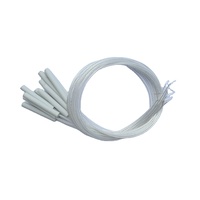 Precio barato Clase A/B Mini RTD Cerámica Pt100 Elementos del sensor con cable de PTFE
