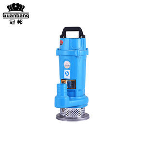 <span class=keywords><strong>Pompe</strong></span> à eau submergée domestique à haute pression de Offre Spéciale 0.25KW <span class=keywords><strong>pour</strong></span> l'irrigation agricole <span class=keywords><strong>pompe</strong></span> de puits personnalisable d'OEM de sortie de 1 pouce - Product Image 2