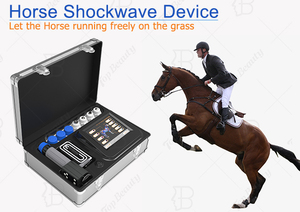 Máquina de Ondas de Choque Veterinaria con Interfaz de Software Intuitiva para una Operación Optimizada por Fisioterapeutas Veterinarios - Product Image 2