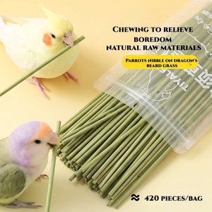Bastoncini Naturali da Masticare per Pappagalli, Giocattolo in Erba della Barba del Drago per la Pulizia dei Denti, Antistress, Intrattenimento in Gabbia per Pappagallini, Agaporni, Cacatua - Product Image 1