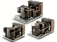 Unidad Condensadora de Compresor de Refrigeración Hermético 110V 1/3HP 1/2HP R290 Ecológico, Repuestos para Refrigerador -20C 18C