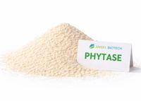 Poudre d'enzyme phytase fabriquée en Inde (Numéro de modèle : Poudre d'enzyme phytase) pour la volaille