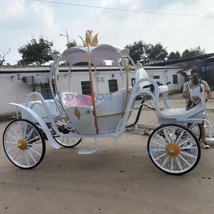 Chariot de princesse électrique classique Zhenda en forme de citrouille, couleur de siège personnalisable, pour mariage, fête, visite de parc, option traîné par des chevaux - Product Image 5