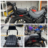 Profil bas fixe Mini Sports Sissy Bar Kit dossier passager pour Harley M8 Softail Street Bob FXBBS FXBB FLDE FLSL FXST 18-25
