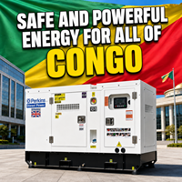 Generador Diésel Silencioso de 40kVA 50kVA 60kW Trifásico para Ghana, con Enfriamiento por Agua, 50/60Hz 480V, Venta Directa de Fábrica: Proporciona un Potente Impulso