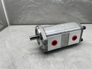 Bomba de Engranajes Hidráulica Serie HGP HGP2A HGP-2A-F11 HGP2A-F-6-R-X-4BJ, Precio de Fábrica - Product Image 6