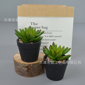 Plantes succulentes artificielles en pot miniature Dongchen Crafts, 10 cm-30 cm, en plastique, décoration intérieure et extérieure - Product Image 3