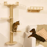 Ensemble de meubles muraux 4-en-1 pour chat : étagères murales en bois, arbre à grimper avec hamac, perchoir et tapis à gratter
