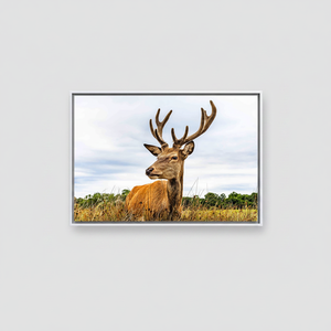 Elegant Deer <b>Canvas</b> Wall Art: Printed Design, Modern Decor,WHITE <b>FRAMED</b> <b>CANVAS</b> - Product Image 2