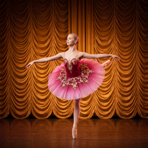 Tutu de ballet professionnel Paquita brodé or, costume de ballerine Kitri, tutu classique personnalisé pour La Esmeralda - Product Image 1