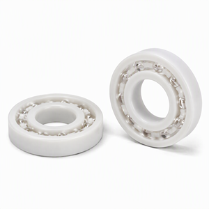 Rodamiento de Plástico con Jaula de Nylon POM 6009 de 45x75x16mm, Bolas de Vidrio, Sin Metal, No Magnético, Resistente a la Corrosión, para Equipos de Alimentos - Product Image 2