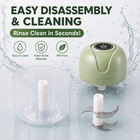 Mini hachoir à ail électrique portable, moulin à légumes de cuisine 250 ml, hachoir à oignon électronique, mixeur multifonction