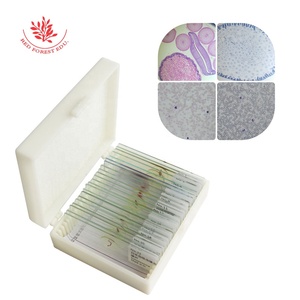 Preparación de Portaobjetos de Microscopio para Parásitos Médicos, 25 Tipos de Especímenes de Biología de Parásitos, Portaobjetos de Parásitos Reales Transparentes - Product Image 1