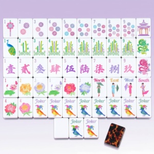 Charming Premium Acrylic Cloisonne Inspired Luxury Style Private Label <b>Mahjong</b> <b>Set</b> for Friends Gathering - Product Image 2