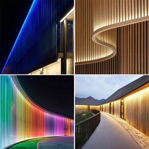 Lámpara LED de Pared para Exteriores, Impermeable IP67, 3D, Flexible, para Paisajes, Puentes y Edificios - Product Image 4