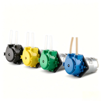 Mini pompe péristaltique auto-amorçante 12V/24V avec contrôle de vitesse DC, en plastique technique, pour l'irrigation et la circulation des plantes