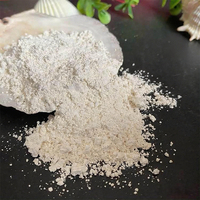 Poudre de métakaolin à performance stable pour la production de ciment et de béton