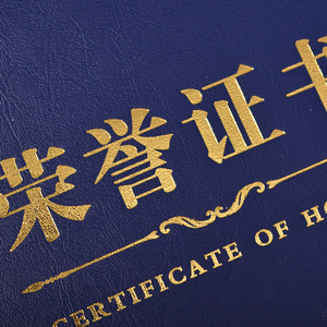 Organizador de Documentos Personalizado A4 de Imitación de Cuero con Certificado de Honor Ruixing - Product Image 3