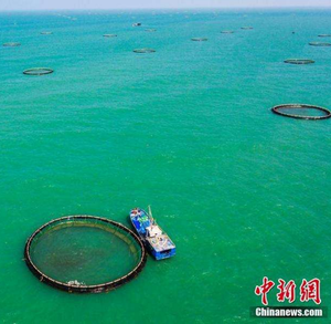 Cage piscicole circulaire HDPE anti-tempête PE piège d'aquaculture en haute mer pour truite - Product Image 4