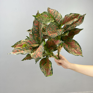 Lifelike Faux Greenery Evergreen <span class=keywords><strong>Calathea</strong></span> Dracaena Plantas Falso Palmeira 14 Folha Artificial Plantas Em Vaso para Decoração Home - Product Image 6
