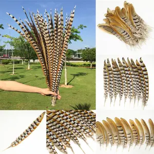 Natural Pheasant Tail Feathers Reeves Venery Pheasant Feather For Carnival Festival