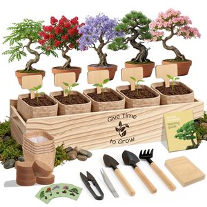 Indoor <strong>Bonsai</strong> <strong>Tree</strong> Starter Kit for Beginners-5 Varieties 22-Piece Complete Tool Set <strong>Seeds</strong> Included Perfect Gift for Women Men - Product Image 1