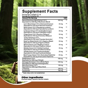 Choix Populaire : Gélules de Champignons (Ashwagandha, Racine de Maca, L-Théanine, Crinière de Lion, Reishi) pour le Soutien de la Concentration, de la Mémoire et Antioxydant - 120 Gélules - Product Image 6