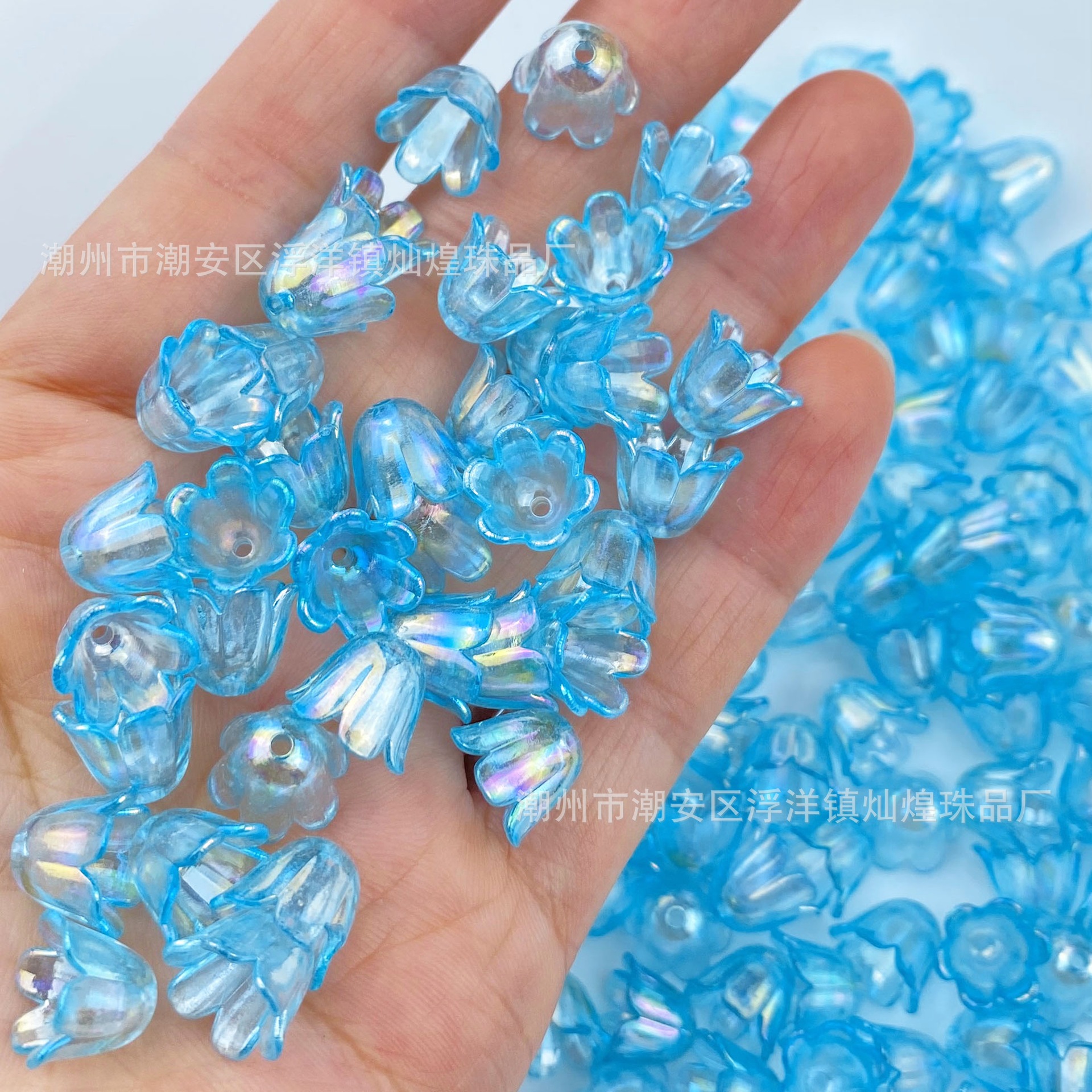 15 Campanules Bleues Translucides