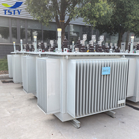 Transformadores Sumergidos en Aceite TSTY de 100KVA-1600KVA con Salidas de 400V 420V y Frecuencia de 60Hz para una Transmisión de Energía Eficiente