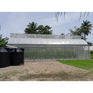 Khung thép mạ kẽm phía trên thông gió nhà kính 6x15m với lưới côn trùng - Product Image 1