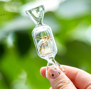 Aksesori Perhiasan Cincin Anting-Anting Kecil Logo Vials Mini Hadiah Pernikahan Botol Kecil Berbentuk Permen Akrilik untuk Pembungkus Perhiasan - Product Image 5