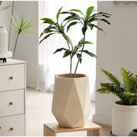 Pot de fleurs Oiseau de paradis, grand diamètre, pot de sol, salon, style nordique simple, arbre porte-bonheur, arbre à dos de tortue