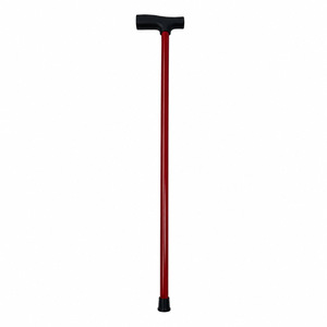 Bâton de marche en acier inoxydable avec poignée en T, léger, pour la randonnée en plein air, pour hommes et femmes - Product Image 2