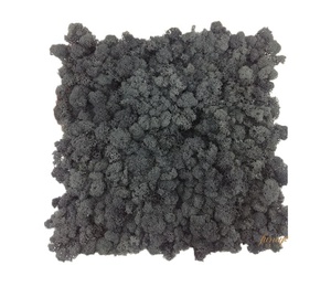 Panneaux de mousse verte naturelle carrée en gros, décoration de bureau, lichen stabilisé préservé, décoration murale de Noël, lichen préservé - Product Image 6