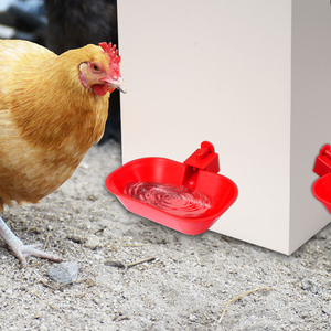 Vendita Calda: Forniture per Allevamenti Avicoli, Abbeveratoi per Galline, Quaglie e Uccelli - Product Image 6