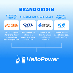 Paket Baterai Lithium 48 Volt 30Ah China untuk Skuter, Baterai Li-Ion untuk Sepeda Motor Listrik - Product Image 6