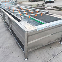Industriële continue belletjesreinigingsmachine voor commerciële bladgroenten, fruit en vis.