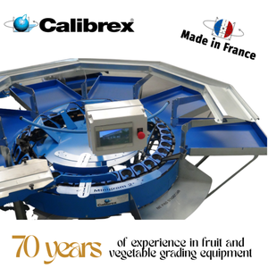 Machine de calibrage de poids multifonctionnelle CALIBREX, fabriquée en France, pour fruits de taille moyenne à grande (pommes, pêches, poires, tomates, melons) - Product Image 2