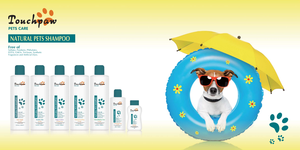 Champú para caballos con certificado CE, champú seco para mascotas, gran precio - Product Image 2