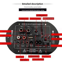 Solution PCBA d'amplificateur audio double microphone 12V 24V 220V pour subwoofer de voiture et système de haut-parleurs extérieur, directement de l'usine